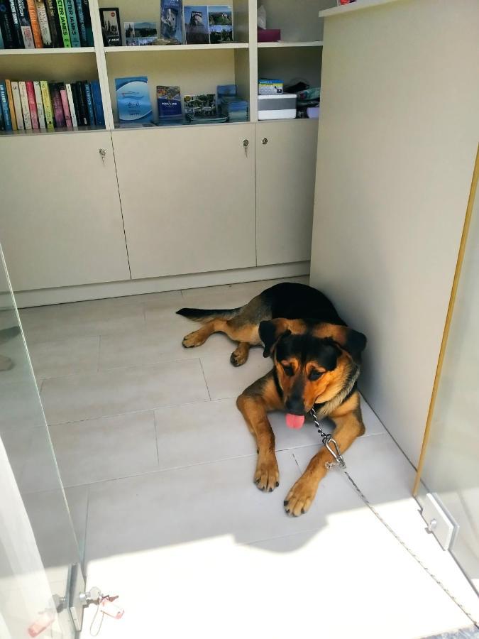 Manganas Studios Paleokastritsa Luaran gambar